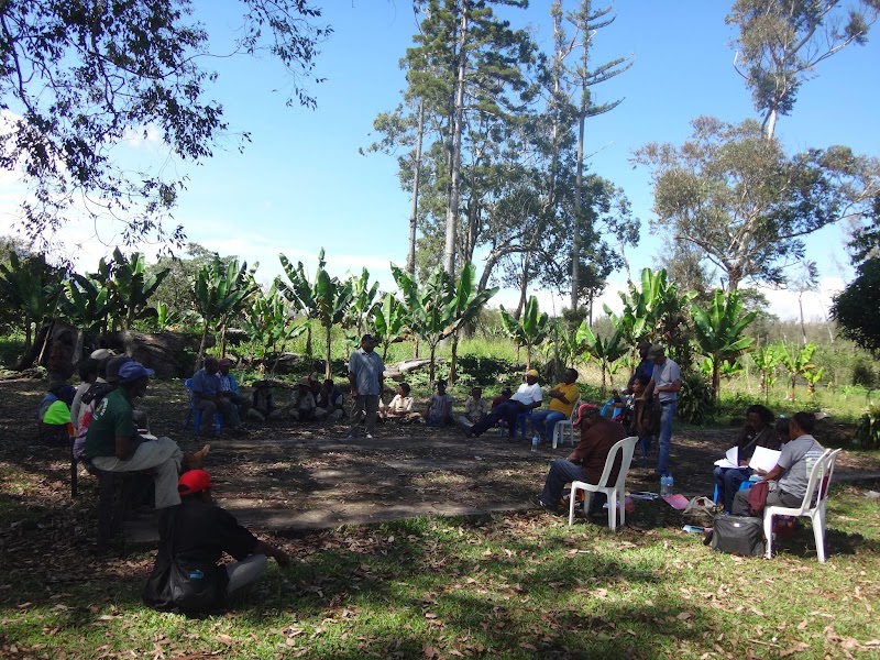 Participatory Process